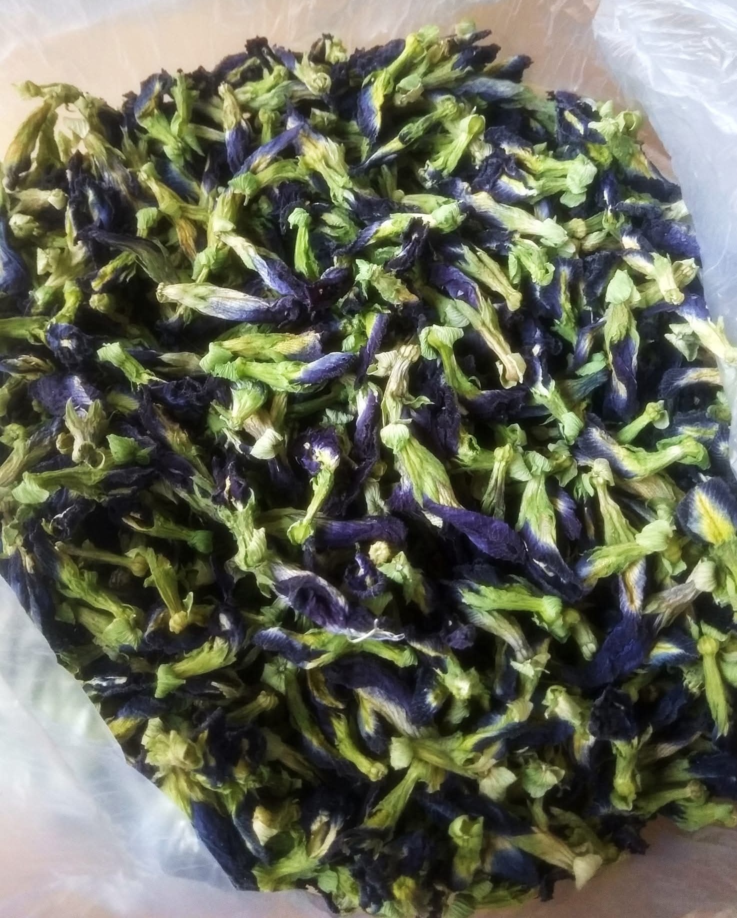 Dried Butterfly Pea Flower
