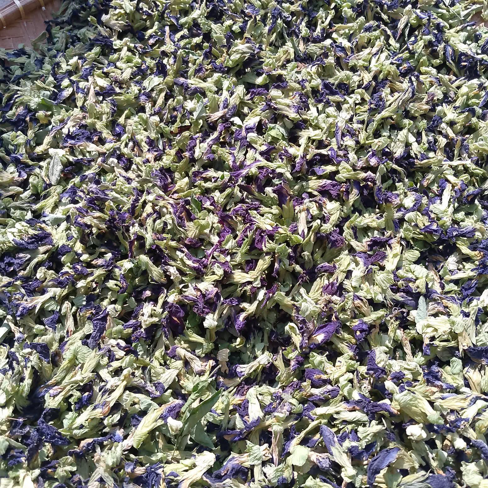 Butterfly Pea Drying